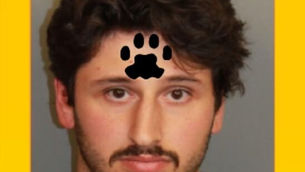 THOMAS RONALD LICCIONE arrested for throwing five kittens out of his moving vehicle on I-65 in Homewood