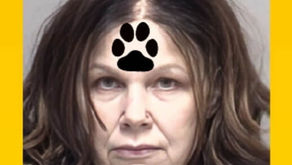 LISA CELESTE PFUND, League City groomer, arrested after a dog died as a result of her negligence during grooming session