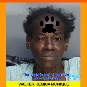 JEMICA MONIQUE WALKER arrested for repeatedly beating a defenseless cat “for only 30 minutes” at a Homestead motel