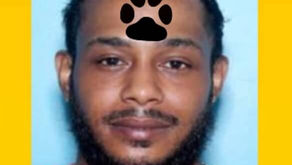 DELMETRIUS JAROD BISHOP arrested for trying to abandon two malnourished dogs in Jefferson County 