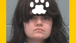 JULIANA ALYSSA BROWN arrested on accusation of trapping and killing a cat, blending and drinking the cat’s organs, and decapitating the cat and removing the face from the head