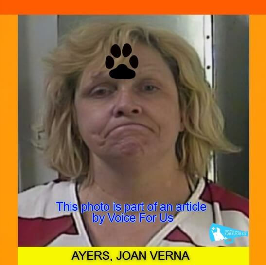 JOAN VERNA AYERS arrested on accusations of leaving her dog out in snowstorm