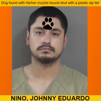 NINO, JOHNNY EDUARDO - Georgia, USA.png