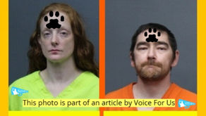 REBECCA ANNETTE CUMMINGS and COTY LIN NIPPER arrested for leaving behind fourteen cats after being evicted – All of the cats died from starvation