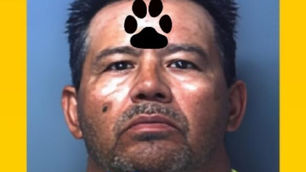 VICTOR MARTINEZ charged after puppy falls from moving pickup truck onto pavement and concrete sidewalk