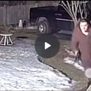 Reward offered after a male was caught on camera beating a dog in Schenectady