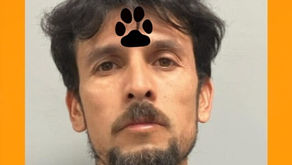 LUCIO GOMEZ GARCIA arrested in connection with an animal cruelty and animal fighting case
