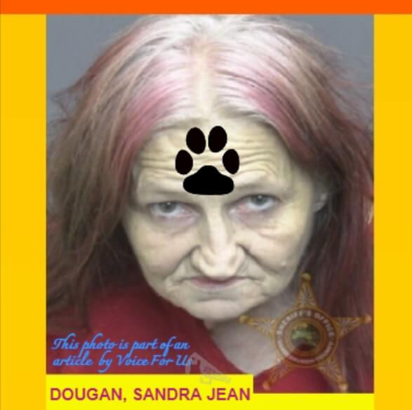 SANDRA JEAN DOUGAN arrested after one dead dog found inside a trash can and other dogs found injured and neglected