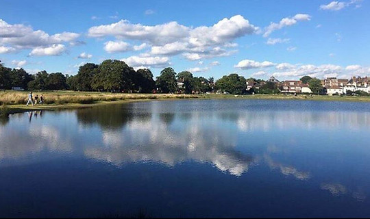 pond.JPG