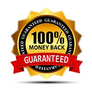 money-back-guarantee-gold-sign-label-free-vector.jpg