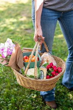veggies in basket kingfisher farm market.jpg