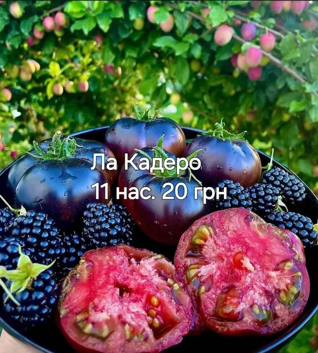 Томат Ла Кадеро