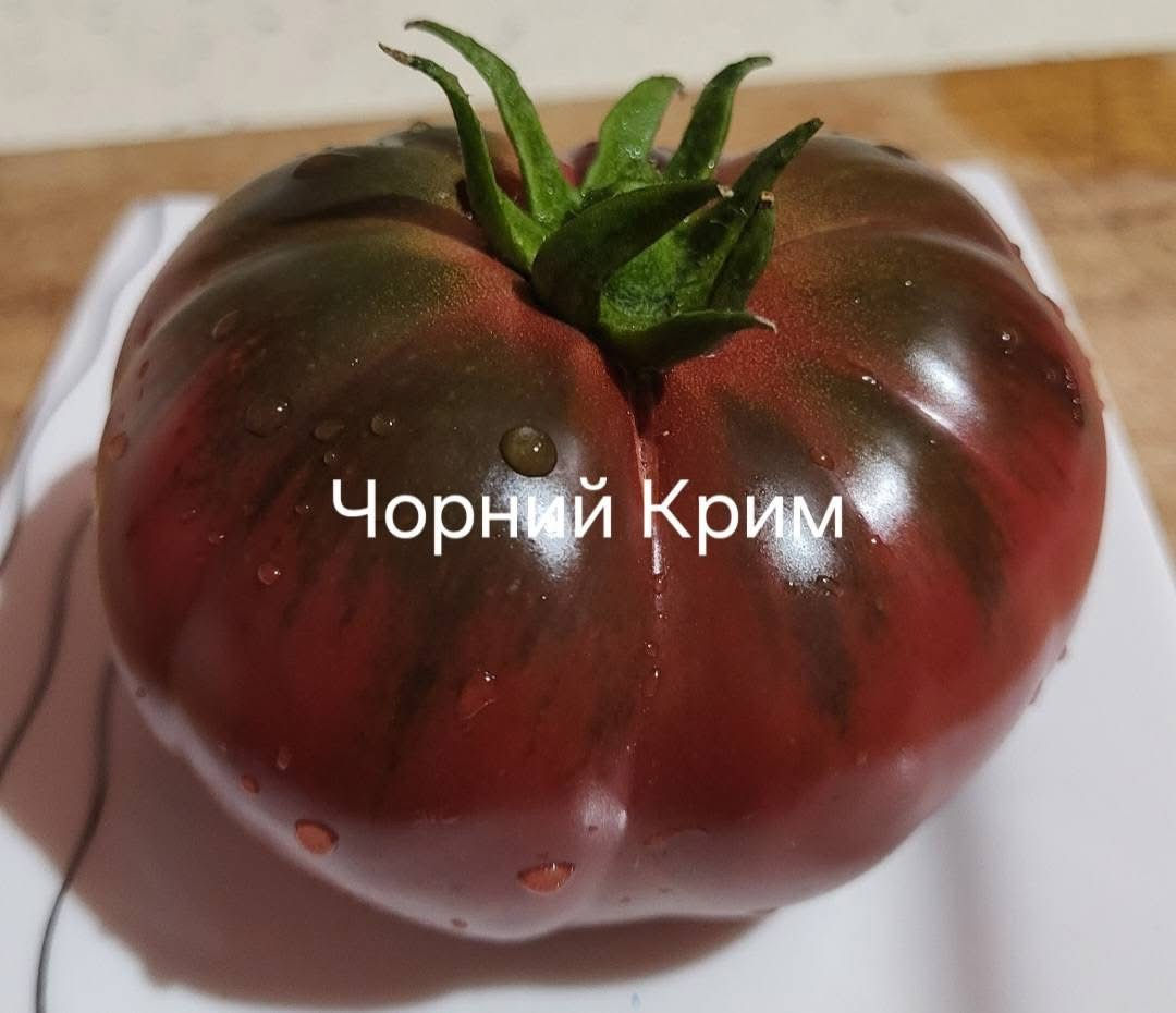 Томат Чорний Крим