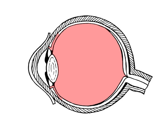 Intermediate_uveitis_official_2.jpg