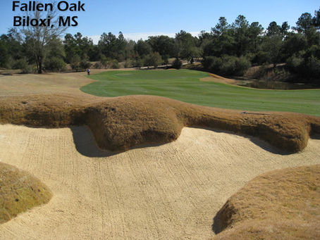 Champions Tour to Visit Fallen Oak