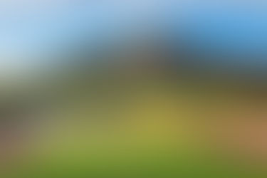 New Mountain Shadows Debuts