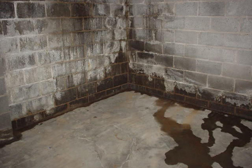 8 Tips for Repairing and Avoiding Basement Moisture