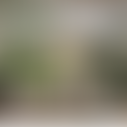 Watercolor Fox Hill School - a school for preschool aged children