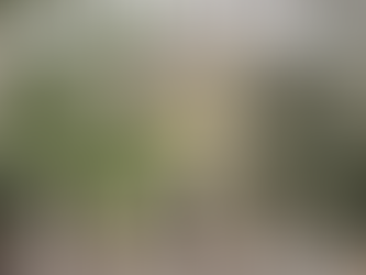 Watercolor Fox Hill School - a school for preschool aged children