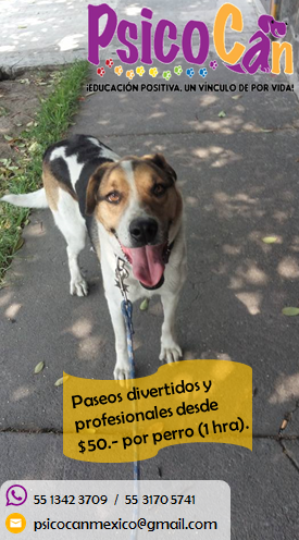 paseos