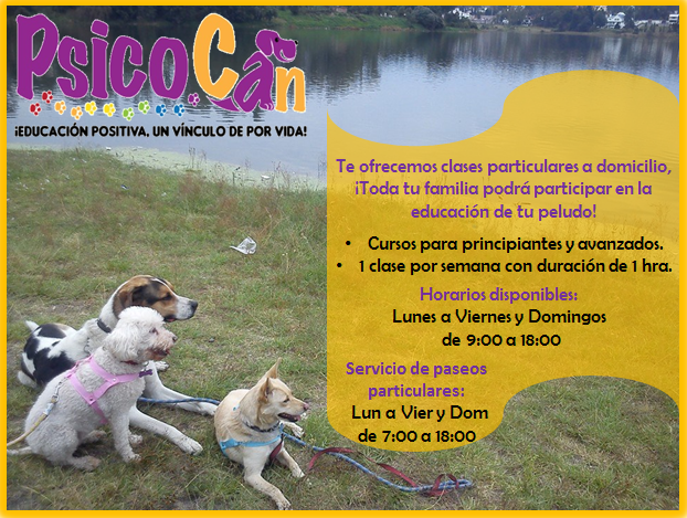 presentacion