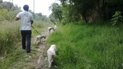 WP_20130817_012