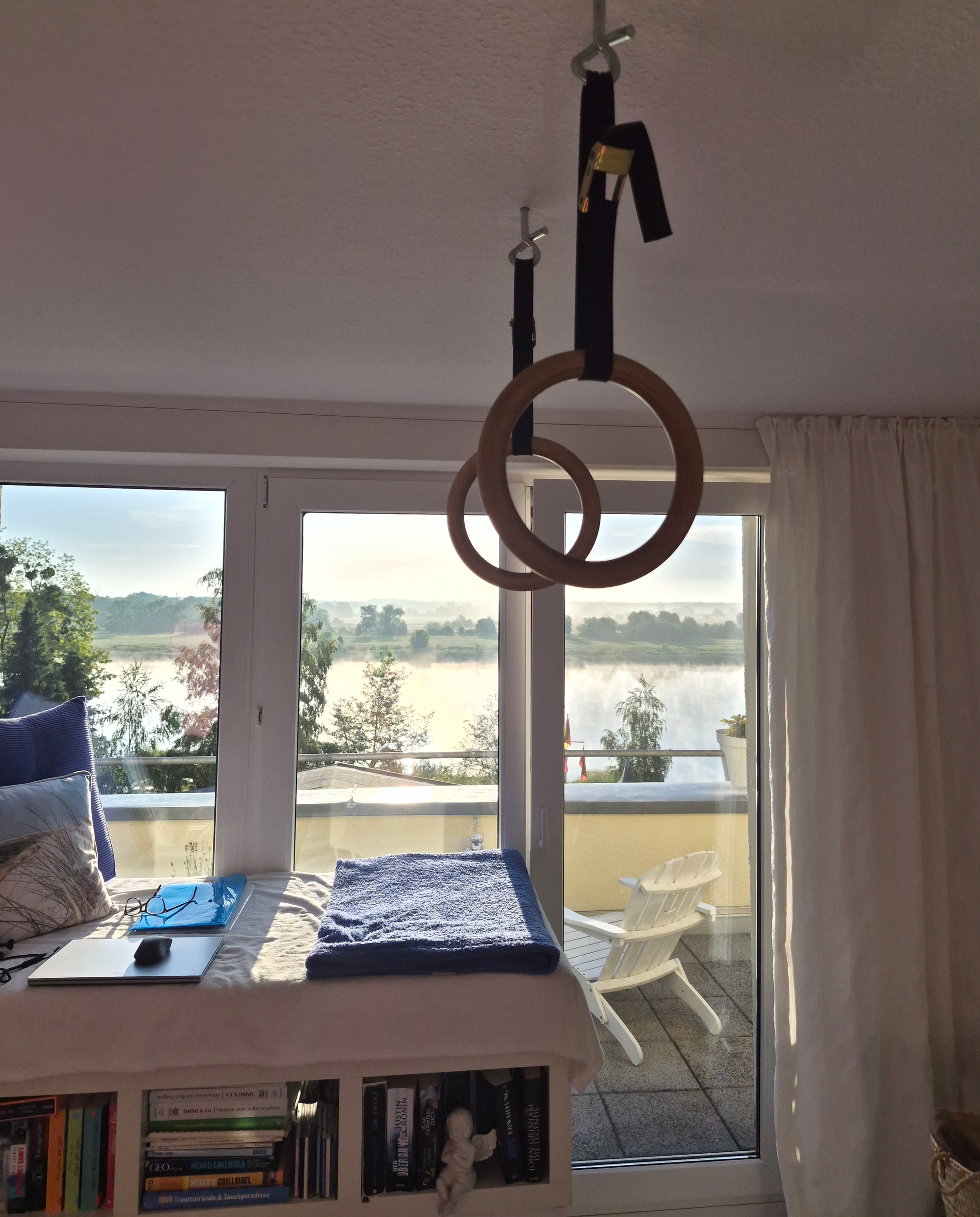 Turnringe an der Decke befestigt mit Blick auf die Elbe