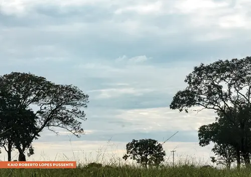 Paisagem com árvores à esquerda e à direita, com uma árvore central. Céu misto de cinza claro e azul com nuvens difusas. Solo coberto por grama alta, verde e amarelada. Poste de utilidade visível ao fundo. Na parte inferior, à esquerda, lê-se "KAIO ROBERTO LOPES PUSSENTE".