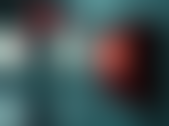 Empowering Communication with Bi-Directional Amplifiers