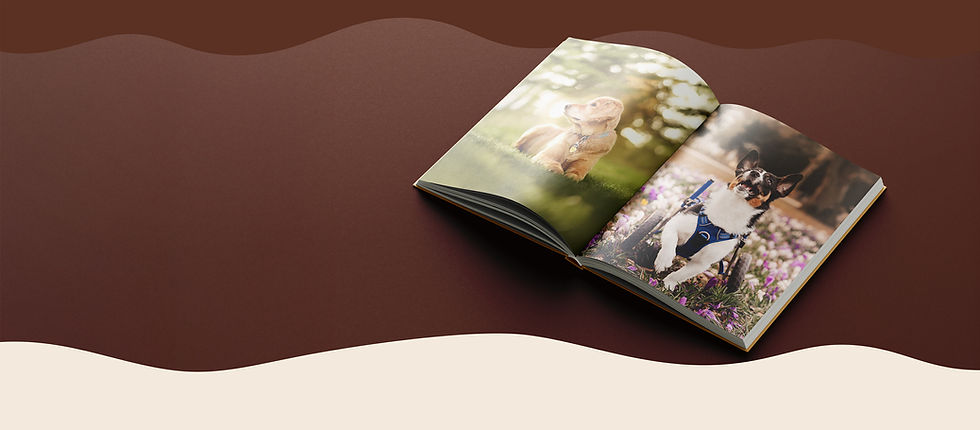 _Book_Mockup_3.jpg