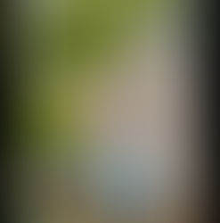 ОТКРЫТЫЙ РЕГИОНАЛЬНЫЙ КОНКУРС "ВОЛНА ИСКУССТВ""Песнь жаворонка"