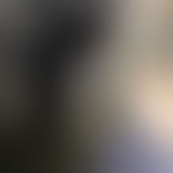 本日定休日です