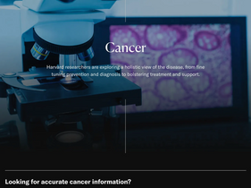 Screenshot of the front page of the Harvard University website as at Feb 2025.