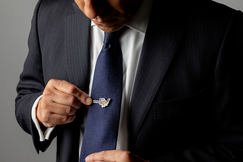 サムネイル： 北九州SDGsタイピン<地球の歩き方掲載＞