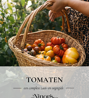 Tomaten_ gids_2026 (1).png