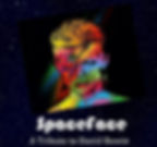 David Bowie Tribute: SpaceFace - Sat., 8/8, Doors open 6:30 p.m., Show at 7:30 p.m.