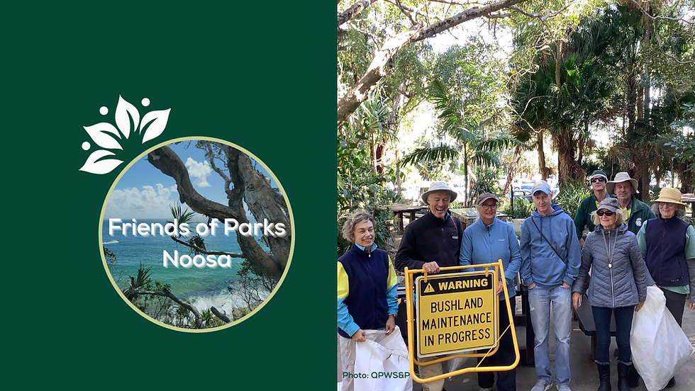 Friends of Parks Noosa - Monthly Event