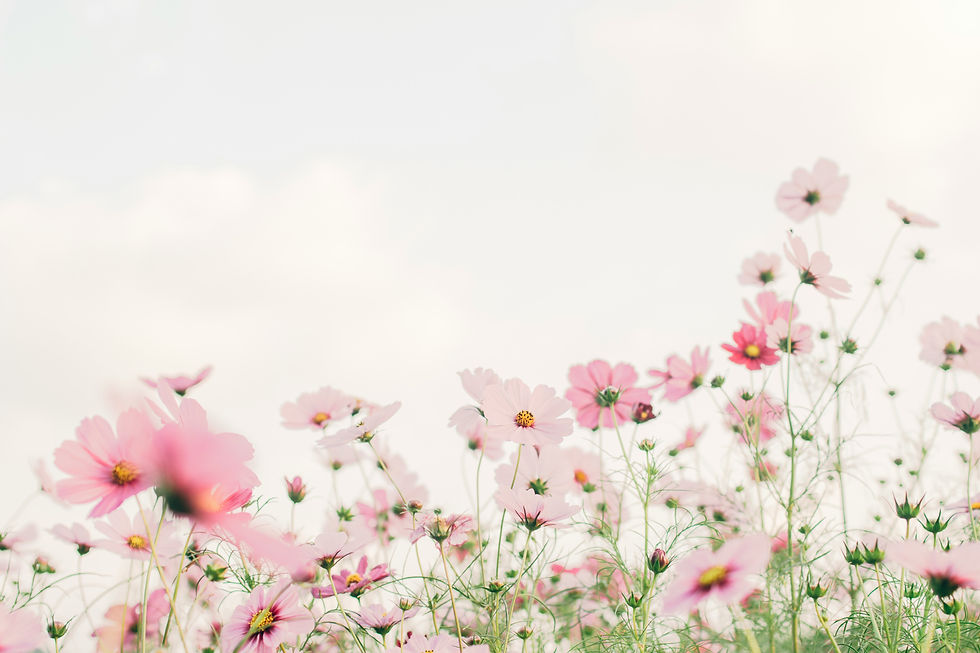 tomoko-uji-kxvn1ogpTtE-unsplash.jpg