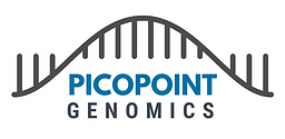 Picopoint logo_edited.png