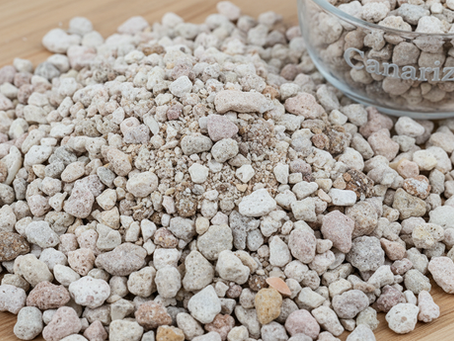 Los beneficios del grit para la digestión de aves