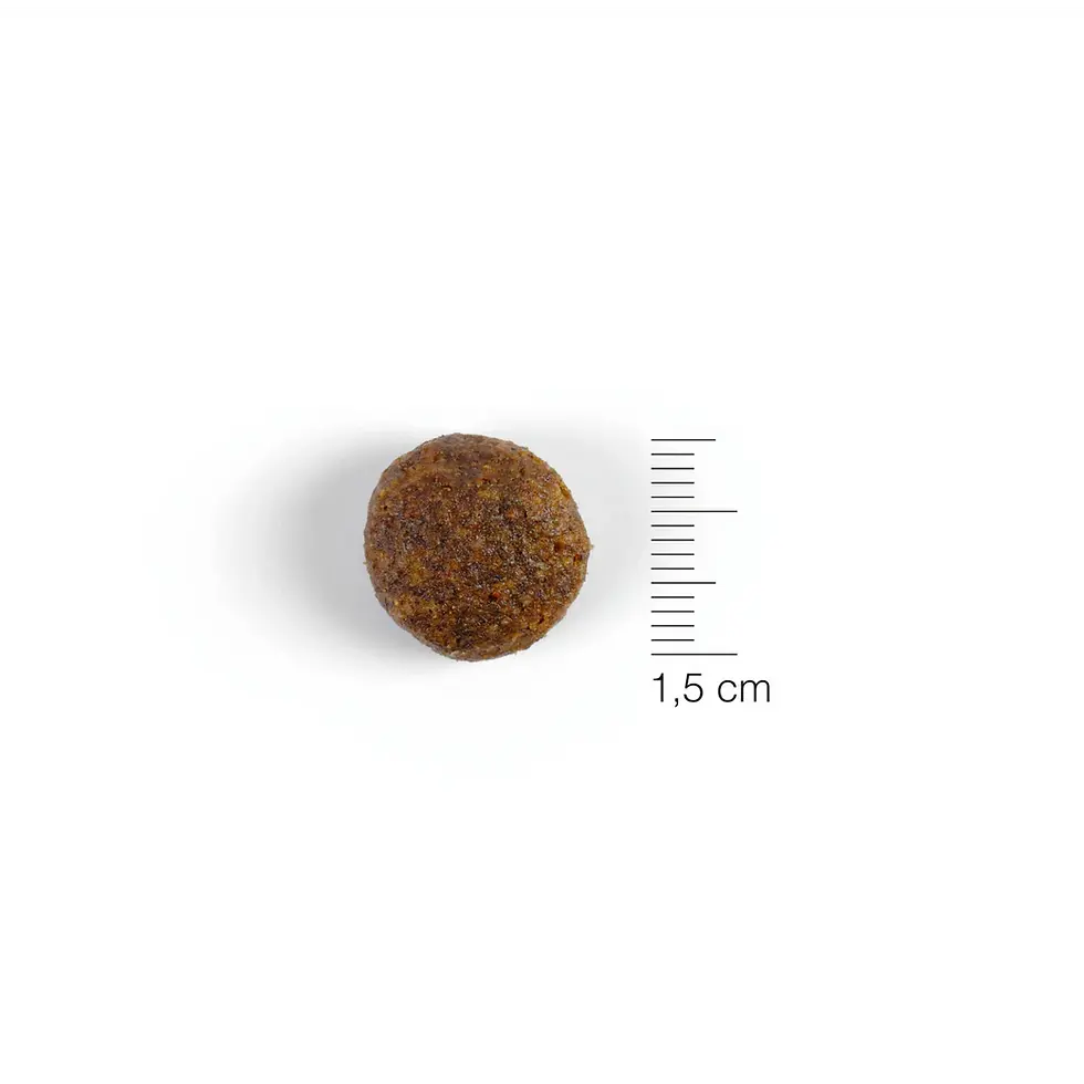 Miniatura: natura diet  +7 tamaño croqueta