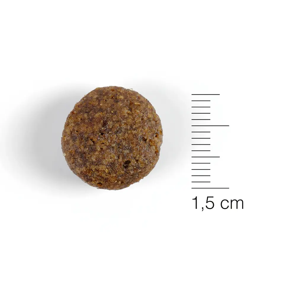Miniatura: Natura Diet Lamb & Rice tamaño croqueta