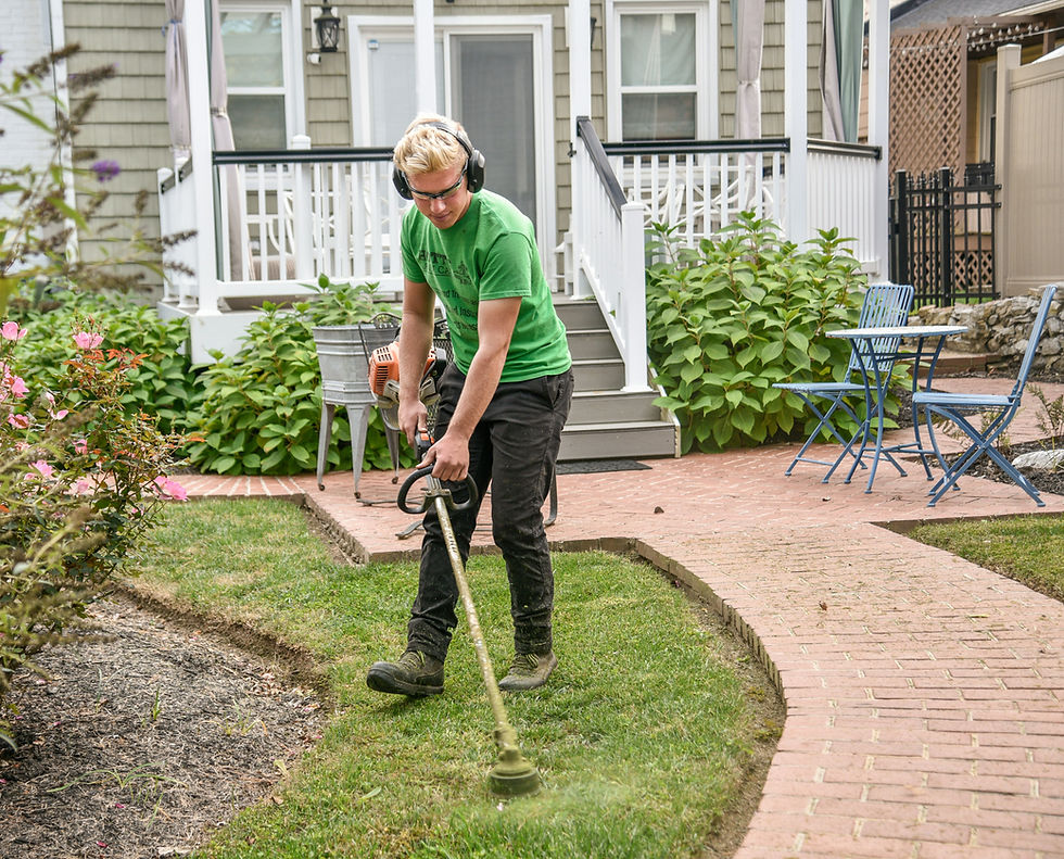 Outumn Lawn and Garden Care by Outumn Design Studio