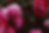 IMG_2502.PNG