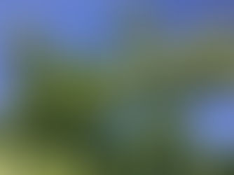  The Elders are Blooming! 