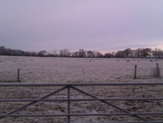 Frosty Early Morning Walk
