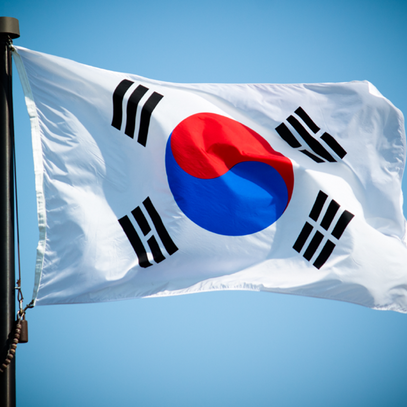 Important Information about South Korea