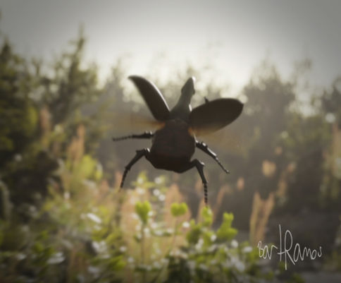 Bug
