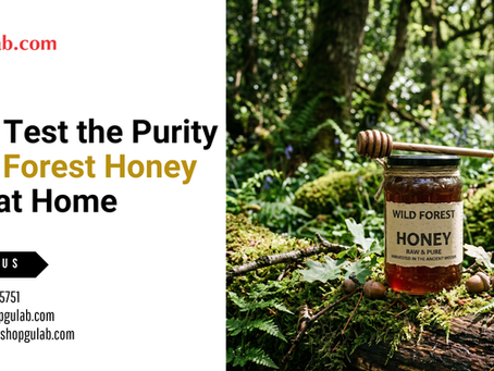How to Test the Purity of Wild Forest Honey at Home