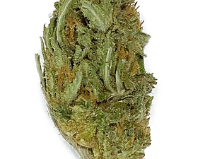Super Woman CBD Green Leaves Biomed Private Cannabis Commodity Offer.png